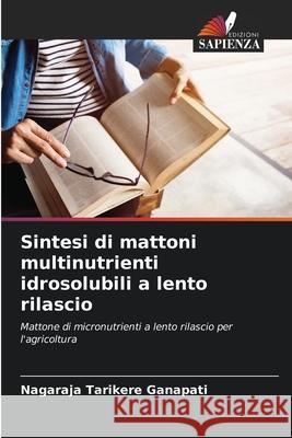Sintesi di mattoni multinutrienti idrosolubili a lento rilascio Ganapati, Nagaraja Tarikere 9786208696771 Edizioni Sapienza