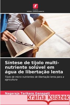 Síntese de tijolo multi-nutriente solúvel em água de libertação lenta Ganapati, Nagaraja Tarikere 9786208696795 Edições Nosso Conhecimento