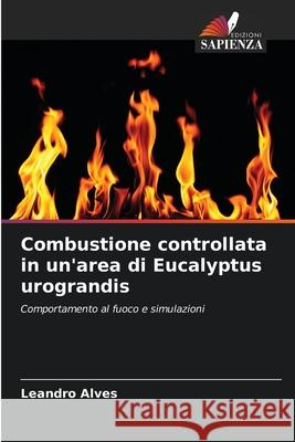 Combustione controllata in un'area di Eucalyptus urograndis Alves, Leandro 9786208717162