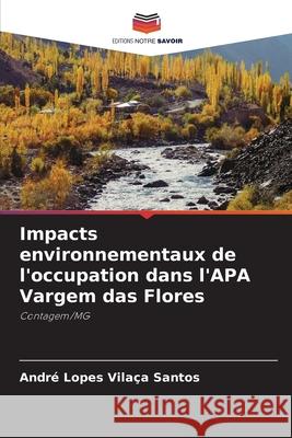 Impacts environnementaux de l'occupation dans l'APA Vargem das Flores Santos, André Lopes Vilaça 9786208754174