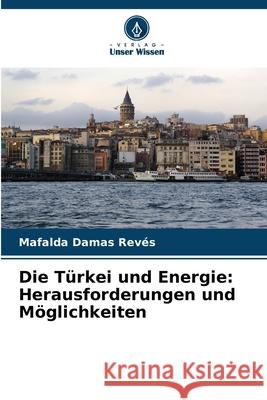 Die Türkei und Energie: Herausforderungen und Möglichkeiten Damas Revés, Mafalda 9786208761271