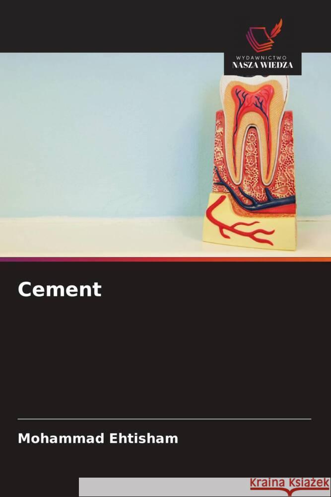 Cement Ehtisham, Mohammad 9786208779146