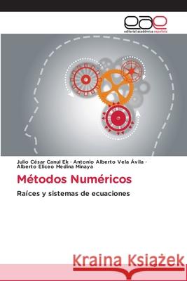 Métodos Numéricos Canul Ek, Julio Cesar, Vela Avila, Antonio Alberto, Medina Minaya, Alberto Eliceo 9786208828318