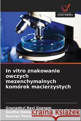 In vitro znakowanie owczych mezenchymalnych komórek macierzystych Ravi Gnanam, Gnanadevi, Ramesh, Geetha, Thandavan Arthanari, Kannan 9786208843205