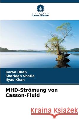MHD-Strömung von Casson-Fluid Ullah, Imran, Shafie, Sharidan, Khan, Ilyas 9786208859923