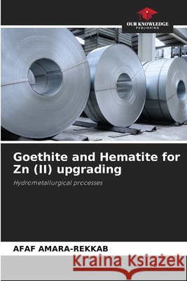 Goethite and Hematite for Zn (II) upgrading AMARA-REKKAB, AFAF 9786208872861