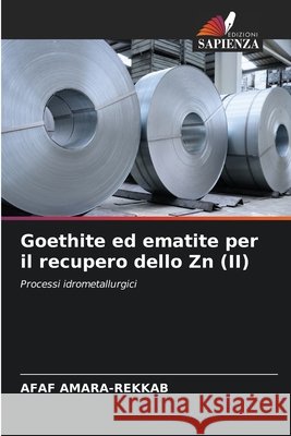 Goethite ed ematite per il recupero dello Zn (II) AMARA-REKKAB, AFAF 9786208872885