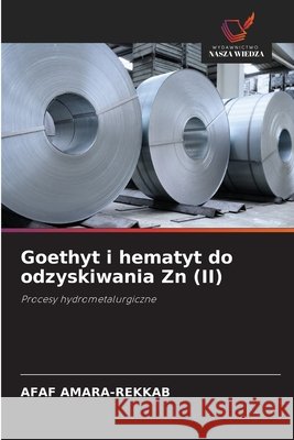 Goethyt i hematyt do odzyskiwania Zn (II) AMARA-REKKAB, AFAF 9786208872892