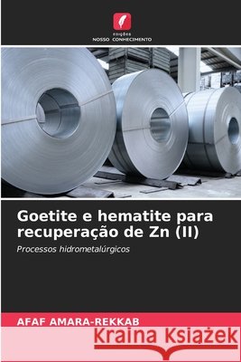 Goetite e hematite para recuperação de Zn (II) AMARA-REKKAB, AFAF 9786208872908
