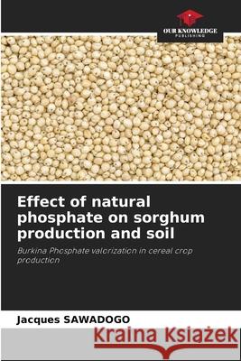 Effect of natural phosphate on sorghum production and soil Sawadogo, Jacques 9786208901875