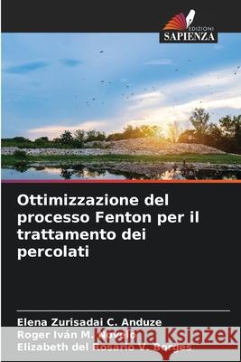 Ottimizzazione del processo Fenton per il trattamento dei percolati C. Anduze, Elena Zurisadai, M. Novelo, Roger Iván, V. Borges, Elizabeth del Rosario 9786208954796