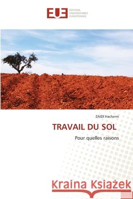 TRAVAIL DU SOL Hachemi, ZAIDI 9786208978167