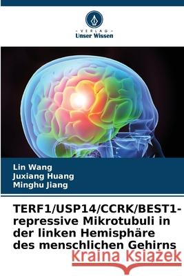 TERF1/USP14/CCRK/BEST1-repressive Mikrotubuli in der linken Hemisphäre des menschlichen Gehirns Wang, Lin, Huang, Juxiang, Jiang, Minghu 9786209006807