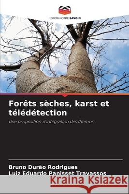 For?ts s?ches, karst et t?l?d?tection Bruno Dur? Luiz Eduardo Panisset Travassos 9786209043987