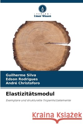 Elastizit?tsmodul Guilherme Silva Edson Rodrigues Andr? Christoforo 9786209053054