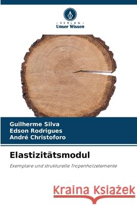 Elastizit?tsmodul Guilherme Silva Edson Rodrigues Andr? Christoforo 9786209053054