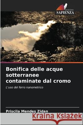 Bonifica delle acque sotterranee contaminate dal cromo Priscila Mende 9786209074356