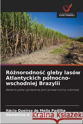 Róznorodnosc gleby lasów Atlantyckich pólnocno-wschodniej Brazylii Queiroz de Mello Padilha, Itácio, A. M. Araújo, Demetrius 9786209147142 Wydawnictwo Nasza Wiedza