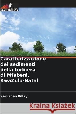 Caratterizzazione dei sedimenti della torbiera di Mfabeni, KwaZulu-Natal Pillay, Sarushen 9786209152795
