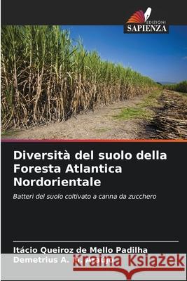 Diversità del suolo della Foresta Atlantica Nordorientale Queiroz de Mello Padilha, Itácio, A. M. Araújo, Demetrius 9786209157387 Edizioni Sapienza