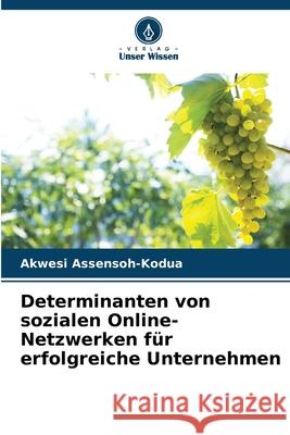Determinanten von sozialen Online-Netzwerken für erfolgreiche Unternehmen Assensoh-Kodua, Akwesi 9786209166839