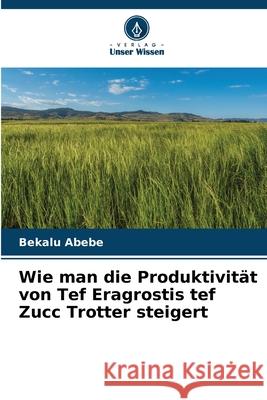 Wie man die Produktivität von Tef Eragrostis tef Zucc Trotter steigert Abebe, Bekalu 9786209218194 Verlag Unser Wissen