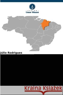 STRATEGISCHES MANAGEMENT Rodrigues, Julio 9786209218224