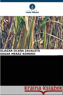 ZUCKERKANONE Saccharum officinarum DIE BESTE TRAUBE DER WELT Eliazar Oca? Edgar Mer? 9786209229985 Verlag Unser Wissen