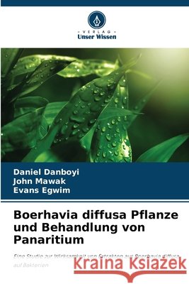 Boerhavia diffusa Pflanze und Behandlung von Panaritium Daniel Danboyi John Mawak Evans Egwim 9786209283710