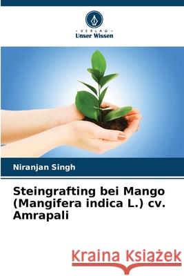 Steingrafting bei Mango (Mangifera indica L.) cv. Amrapali Singh, Niranjan 9786209312984