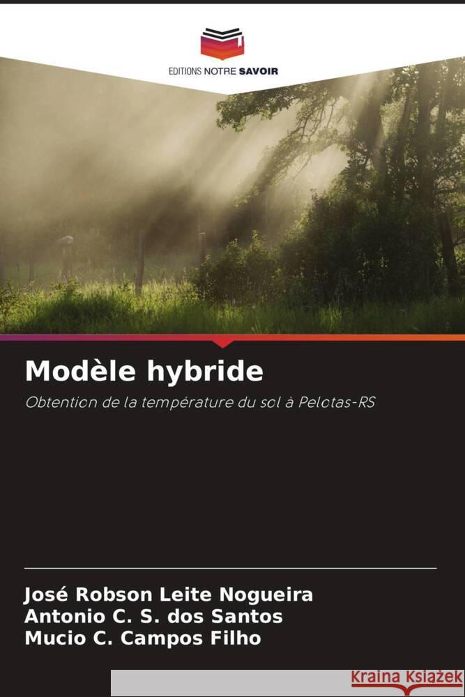 Modèle hybride Leite Nogueira, José Robson, S. dos Santos, Antonio C., Campos Filho, Mucio C. 9786209323904