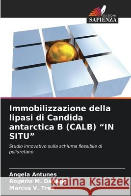 Immobilizzazione della lipasi di Candida antarctica B (CALB) 