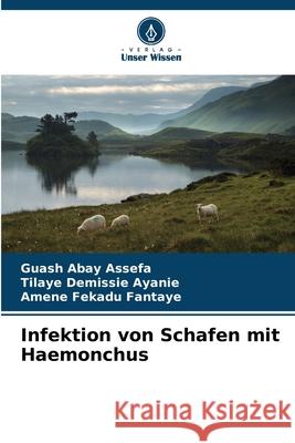 Infektion von Schafen mit Haemonchus Assefa, Guash Abay, Ayanie, Tilaye Demissie, Fantaye, Amene Fekadu 9786209435553