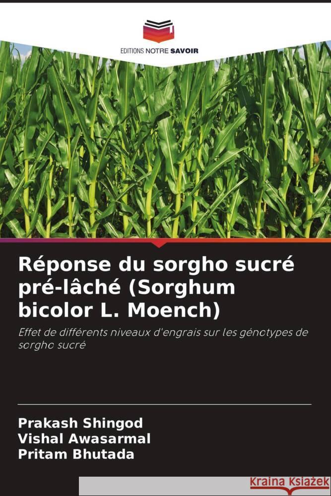 Réponse du sorgho sucré pré-lâché (Sorghum bicolor L. Moench) Shingod, Prakash, Awasarmal, Vishal, Bhutada, Pritam 9786209465857 Editions Notre Savoir