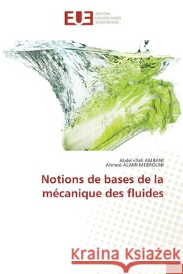 Notions de bases de la mécanique des fluides Amrani, Abdel-Illah, Alami Merrouni, Ahmed 9786209490873