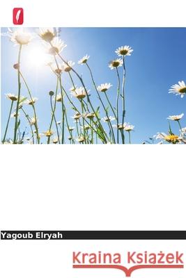 Por que o meu bolso está vazio? A crise inflacionária e a política fiscal do Sudão Elryah, Yagoub 9786209527166