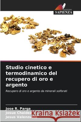 Studio cinetico e termodinamico del recupero di oro e argento Parga, Jose R., Chaidez, Josue, Valenzuela, Jesús 9786209589058
