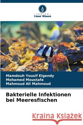 Bakterielle Infektionen bei Meeresfischen Elgendy, Mamdouh Yousif, Moustafa, Mohamed, Mahmoud, Mahmoud Ali 9786209724305