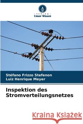 Inspektion des Stromverteilungsnetzes Frizzo Stefenon, Stéfano, Henrique Meyer, Luiz 9786209772405