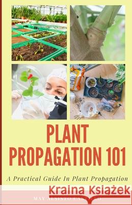Plant Propagation 101: A Practical Guide In Plant Propagation May Alsisto Castillo 9786214702107 Poetry Planet Book Publishing House