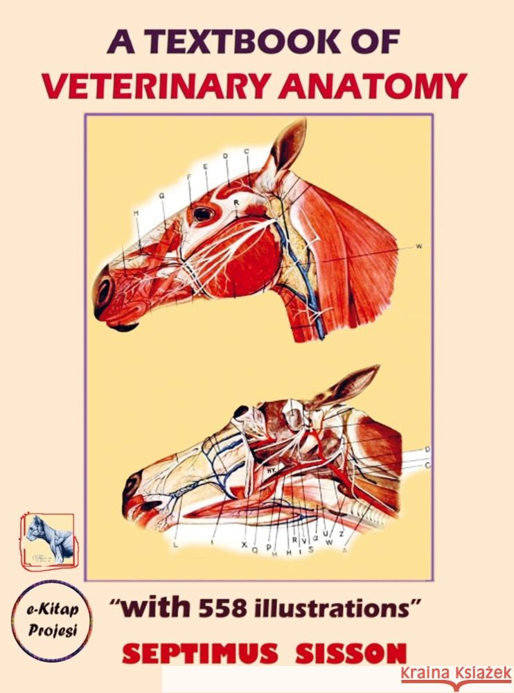 A TextBook of Veterinary Anatomy Septimus Sisson 9786256629363