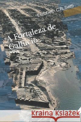 A Fortaleza de Gallucio Elizabeth C R Setti   9786500700190