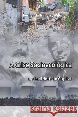 A crise socioecológica no labirinto do capital Fernando Bilhalva Vitória 9786586795066 Editora Karywa