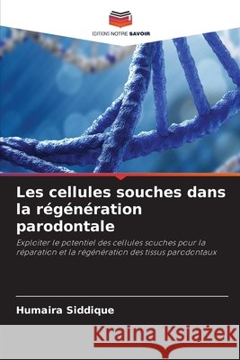 Les cellules souches dans la r?g?n?ration parodontale Humaira Siddique 9786630142167
