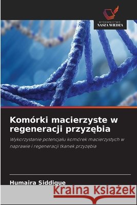 Kom?rki macierzyste w regeneracji przyzębia Humaira Siddique 9786630200751