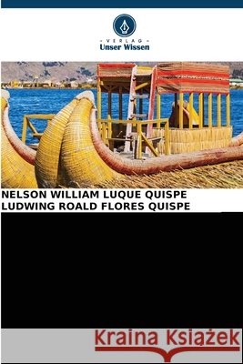 Die Interne Kontrolle Und Ihr Einfluss Auf Die Verwaltung: Auf Der Grundlage Nelson William Luque Quispe Ludwing Roald Flores Quispe 9786630251760
