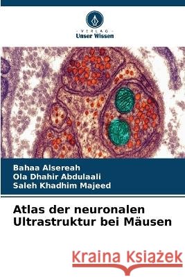 Atlas der neuronalen Ultrastruktur bei M?usen Bahaa Alsereah Ola Dhahir Abdulaali Saleh Khadhim Majeed 9786630293654
