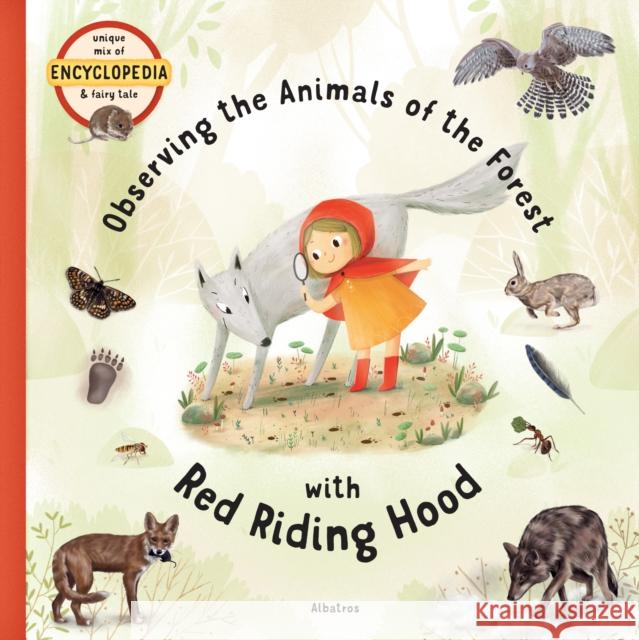 Observing the Animals of the Forest with Little Red Riding Hood Sekaninov Linh Dao 9788000059419 Albatros Media