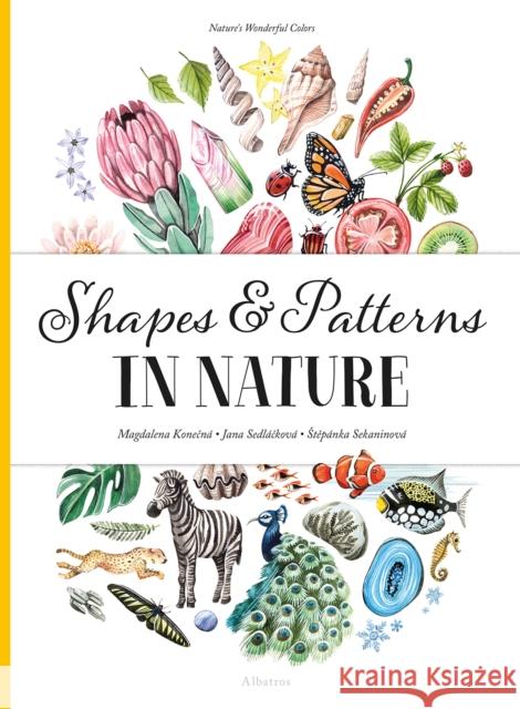 Shapes and Patterns in Nature  9788000061252 Albatros nakladatelstvi as