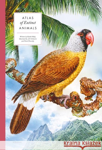 Atlas of Extinct Animals  9788000061269 Albatros Media